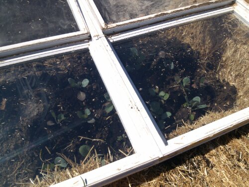 0413131100.jpg image