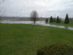 0417131923b.jpg image