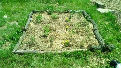 IMG_20130620_120752_377.jpg image