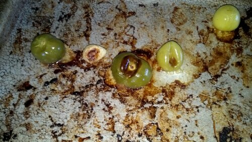 IMG_20130906_164642_514.jpg image