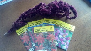 IMG_20140216_134432_961