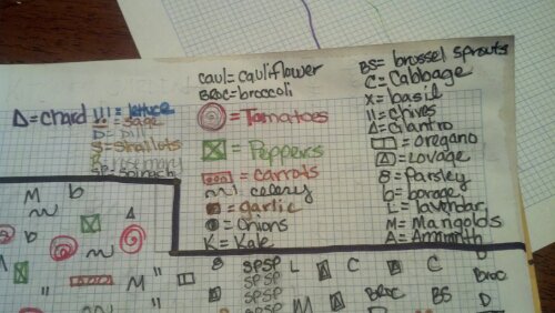 IMG_20140217_175208_583.jpg image