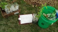 IMG_20140417_151904_511