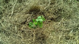 IMG_20140417_160901_434