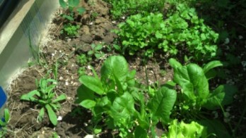 IMG_20140509_120210_780.jpg image