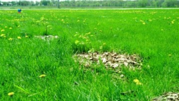 IMG_20140509_123840_846.jpg image