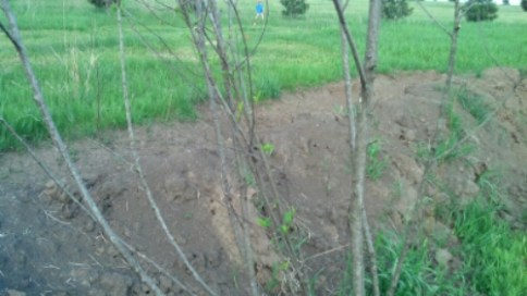 IMG_20140529_193813_312.jpg image