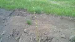 IMG_20140529_195225_110.jpg image