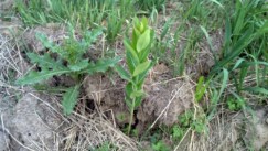 IMG_20140529_195640_383.jpg image