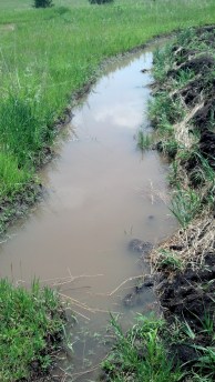 IMG_20140608_114616_341