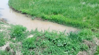 IMG_20140608_115019_026