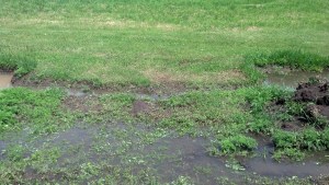 IMG_20140608_115524_458