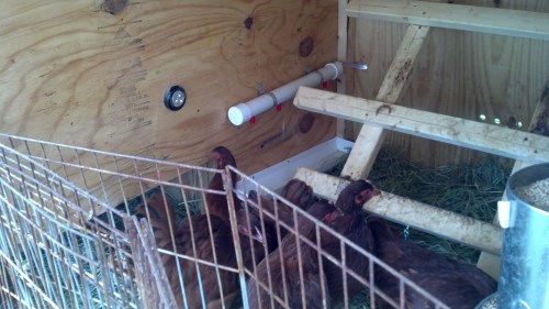 IMG_20140608_175928_263