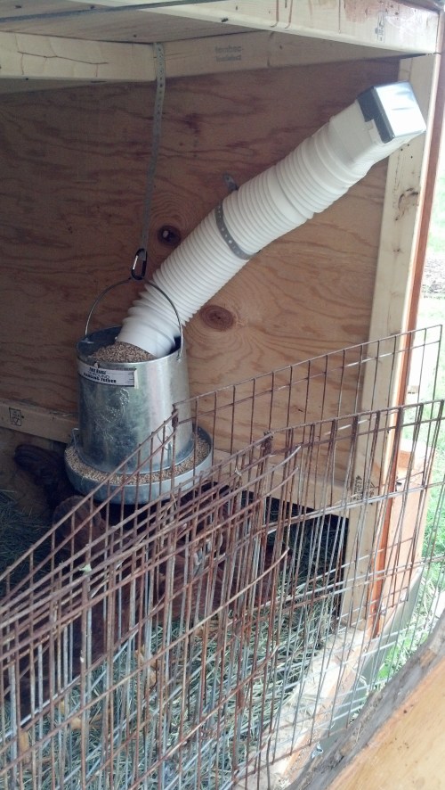 IMG_20140608_180020_801