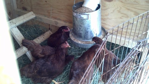 IMG_20140608_180107_956