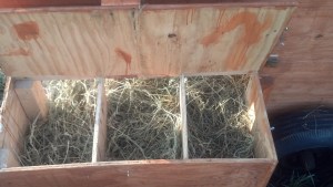 IMG_20140701_192917_627