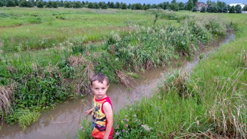 IMG_20150607_183648378