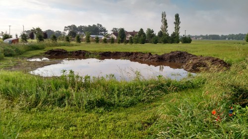 IMG_20150608_071727425_HDR